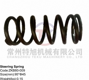 Steering Spring ZKB80-009