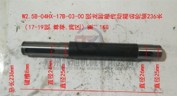 Gear Shaft W2.5B-04HX-17B-03